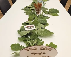 20260726-Die_Sg_Edelweiss_Bruckmuehl_Feiert_Ihr_100_Jaehriges_Bestehen-004